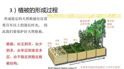 植被 意思|植被